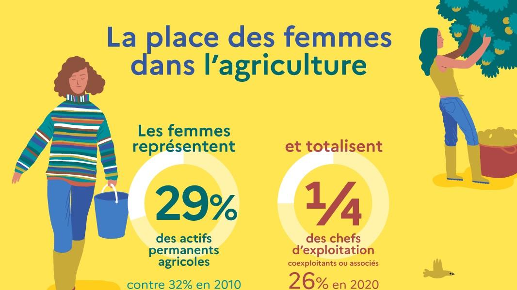 Infographie La Place Des Femmes Dans Lagriculture Ministère De Lagriculture De La 0908